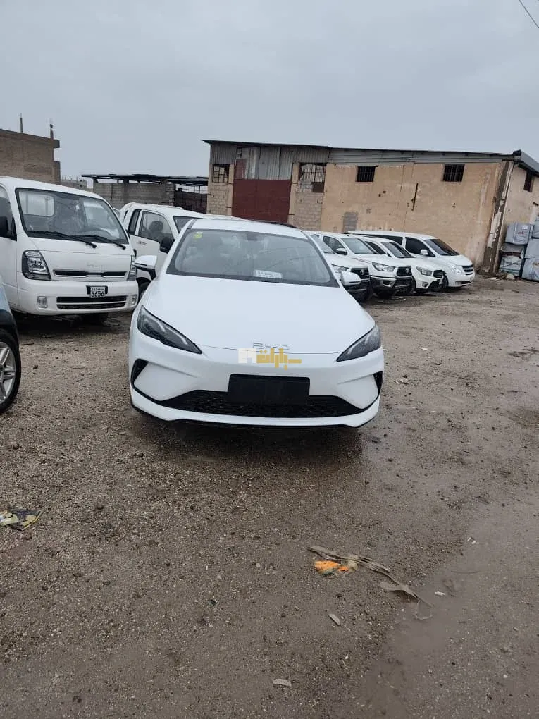 بي واي دي سيليون 5 2026 - صورة 2
