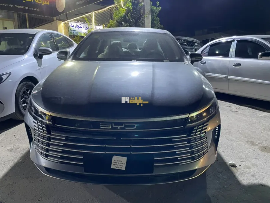 بي واي دي ديستروير 05 2025 - صورة 4