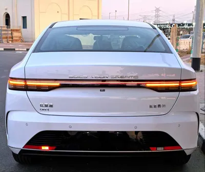 بي واي دي ديستروير 05 2025 - صورة 11