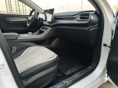 بي واي دي ديستروير 05 2025 - صورة 10