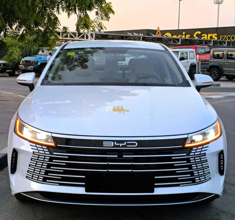 بي واي دي ديستروير 05 2025 - صورة 17