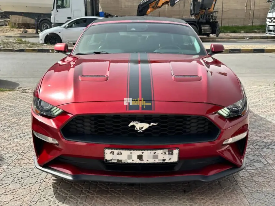 فورد موستانغ 2019 - صورة 2